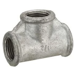 Té Galva Femelle F15x21. NOYON & THIEBAULT